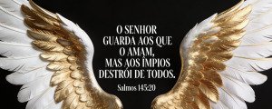 Banner Lateral 02